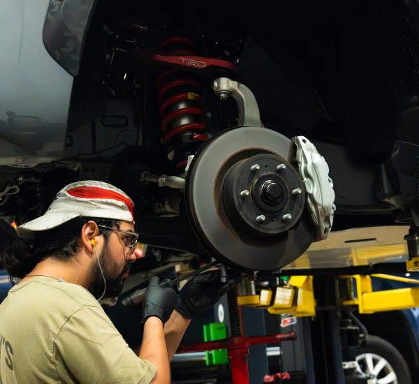 VGP 4461 Grey Sequoia - 91-2-Enhanced-NR